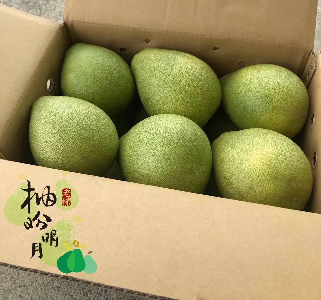 牛皮紙箱內排列整齊的六顆麻豆文旦