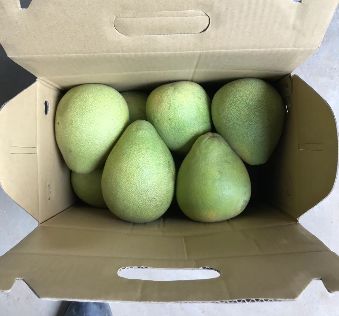 打開的手提紙箱，裡面裝著六顆麻豆文旦