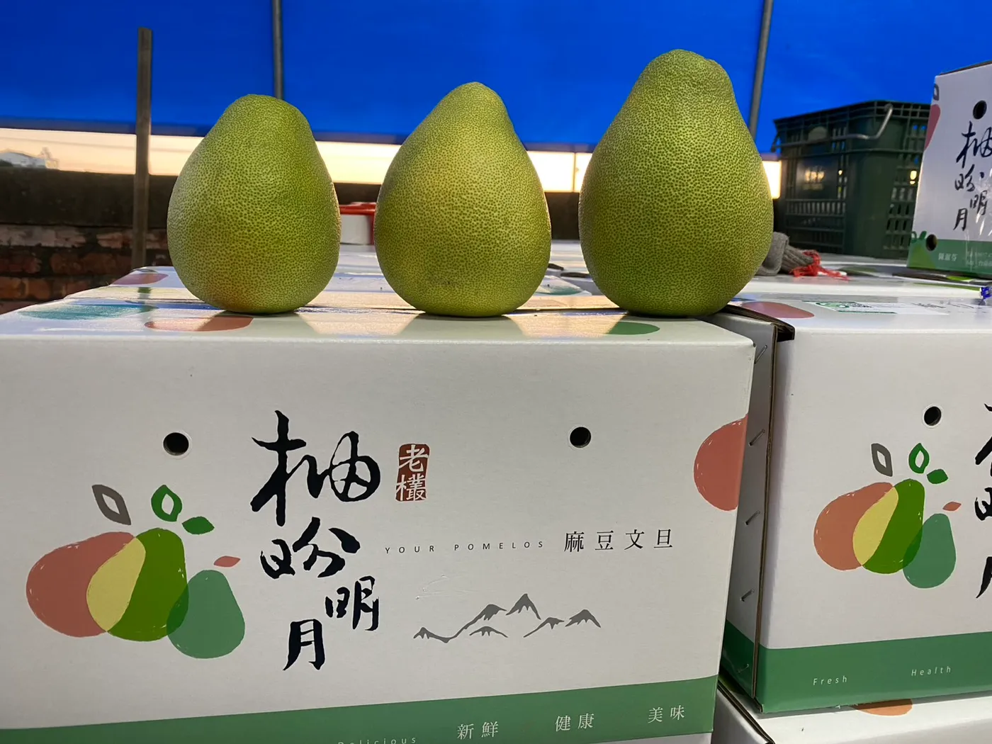 白綠色柚芬明月禮盒堆疊，上面擺著三顆文旦